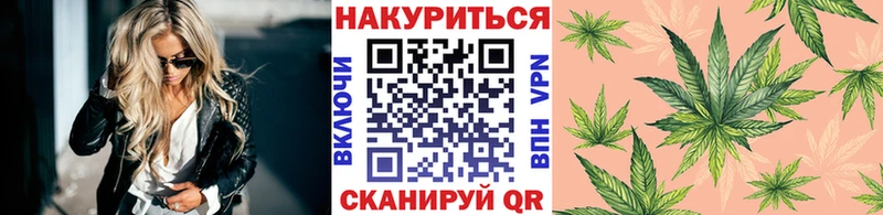 Каннабис индика  Лагань 